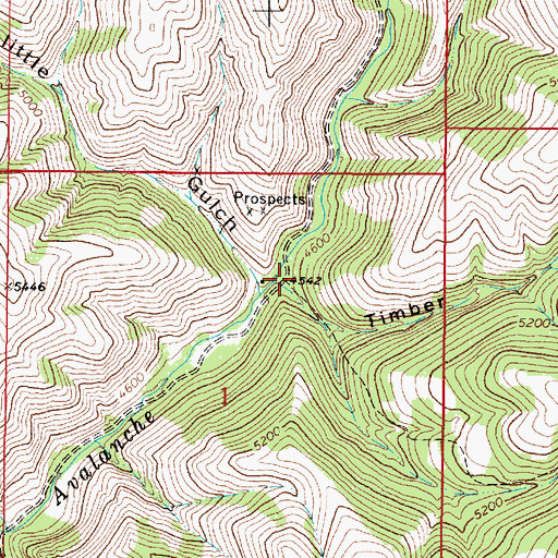 Topographic Map of Timber Gulch, MT