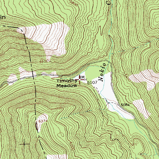 Topographic Map of Timothy Meadow, MT
