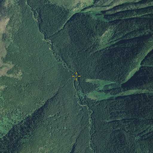 Aerial/Satellite Image of Toboggan Creek, MT