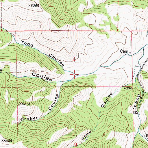 Topographic Map of Todd Coulee, MT
