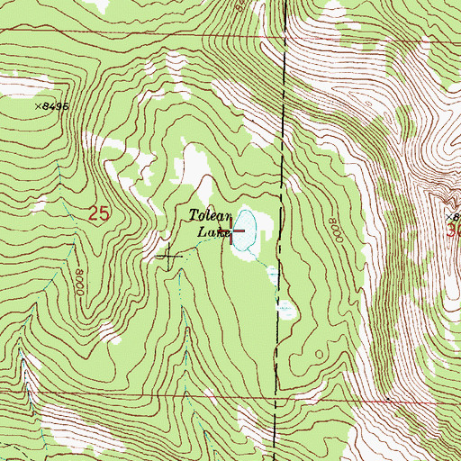 Topographic Map of Tolean Lake, MT