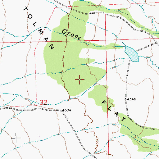 Topographic Map of Tolman Flat, MT