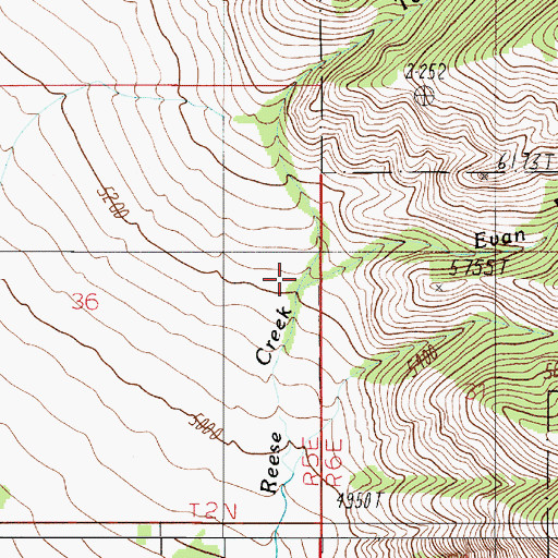 Topographic Map of Tom Reese Creek, MT