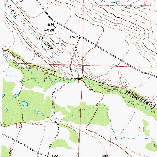Topographic Map of Toms Coulee, MT