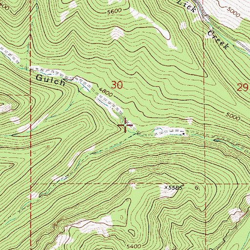 Topographic Map of Toms Gulch, MT