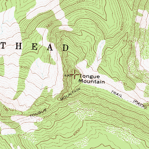 Topographic Map of Tongue Mountain, MT