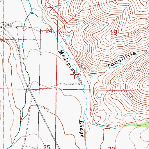 Topographic Map of Tonsilitis Canyon, MT