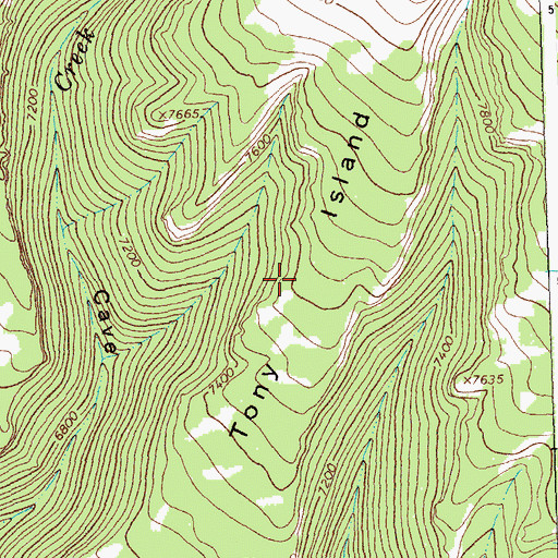 Topographic Map of Tony Island, MT