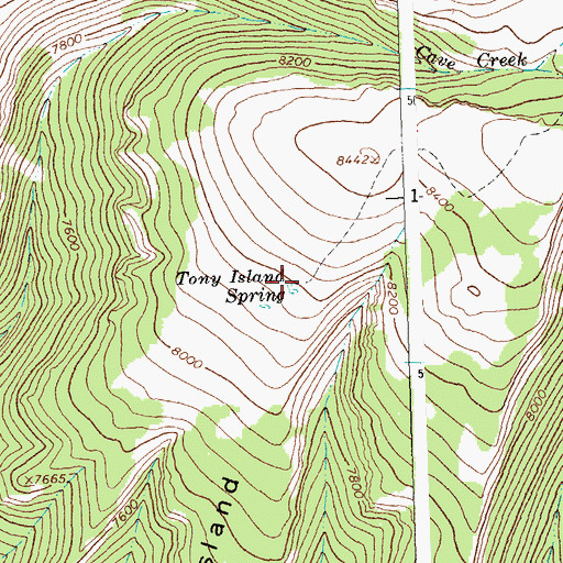 Topographic Map of Tony Island Spring, MT