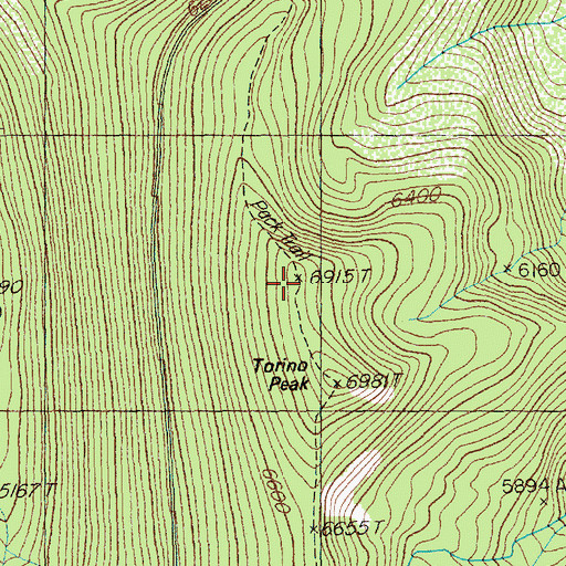 Topographic Map of Torino Peak, MT