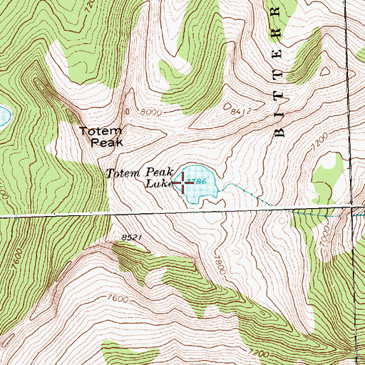Topographic Map of Totem Peak Lake, MT