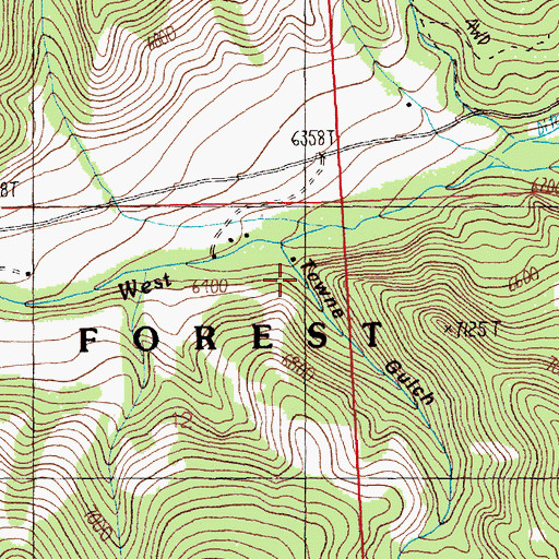 Topographic Map of Towne Gulch, MT