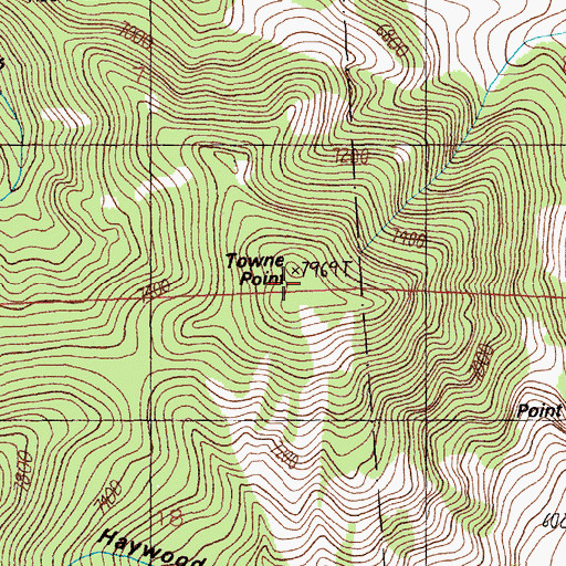Topographic Map of Towne Point, MT