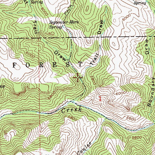 Topographic Map of Trail Draw, MT