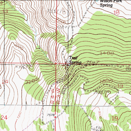 Topographic Map of Trail Spring, MT