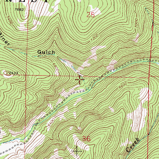 Topographic Map of Trainer Gulch, MT