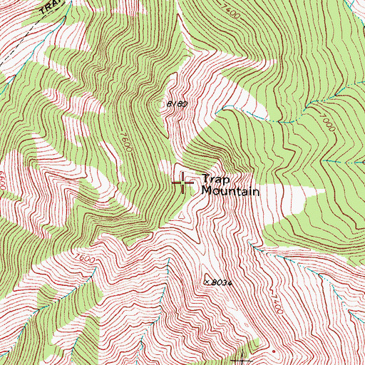 Topographic Map of Trap Mountain, MT