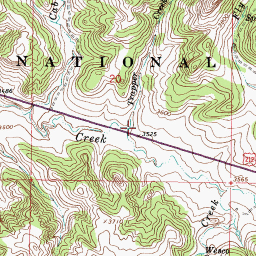 Topographic Map of Trapper Creek, MT
