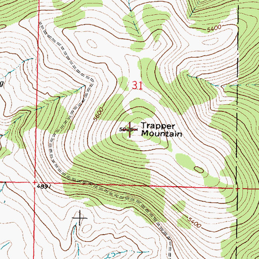 Topographic Map of Trapper Mountain, MT