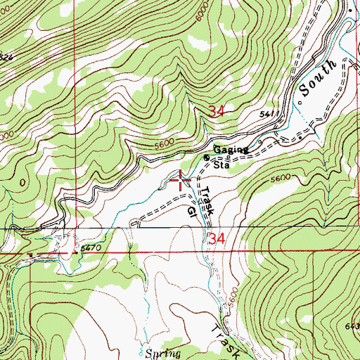 Topographic Map of Trask Gulch, MT