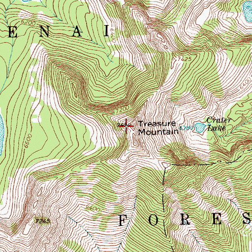 Topographic Map of Treasure Mountain, MT