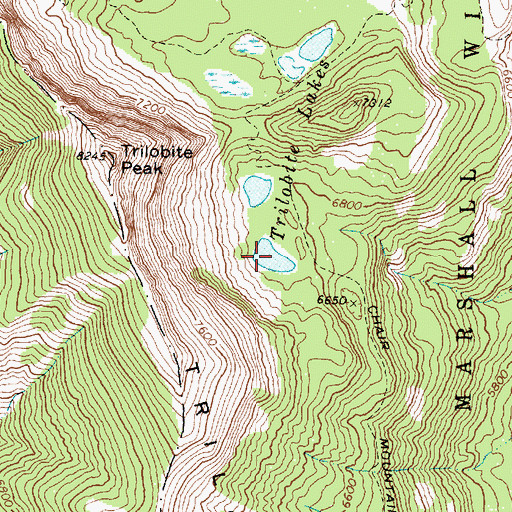 Topographic Map of Trilobite Lakes, MT