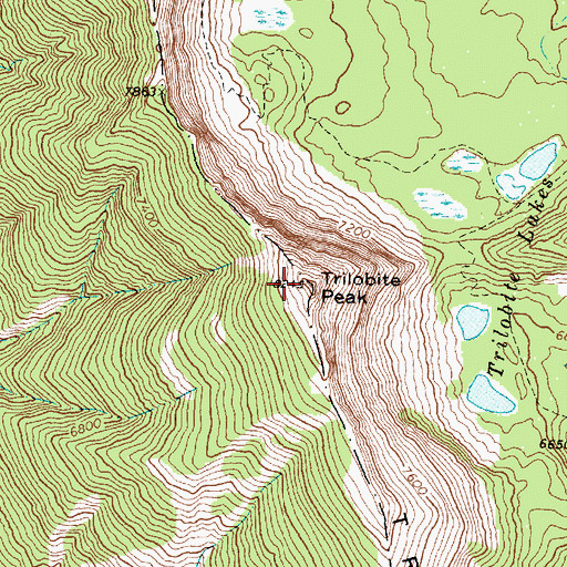 Topographic Map of Trilobite Peak, MT
