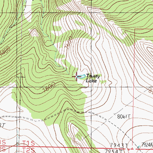 Topographic Map of Trusty Lake, MT