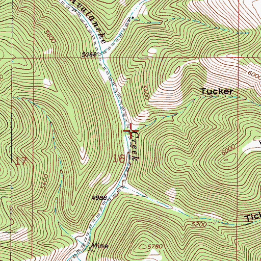 Topographic Map of Tucker Gulch, MT