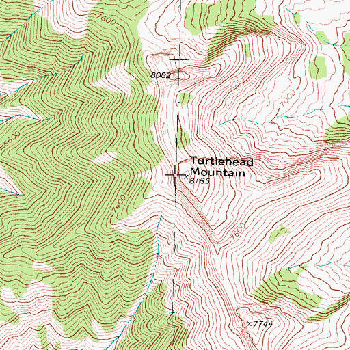 Topographic Map of Turtlehead Mountain, MT