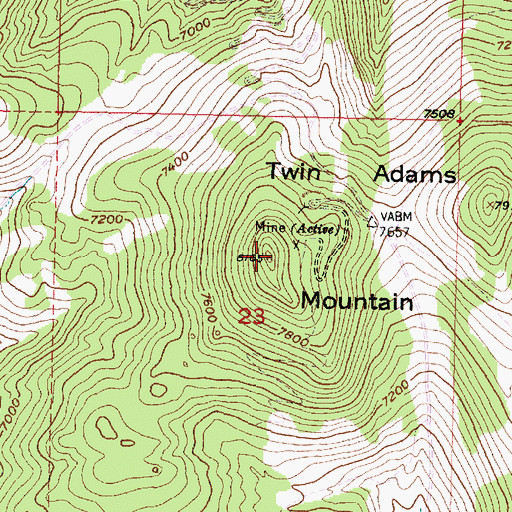 Topographic Map of Twin Adams Mountain, MT