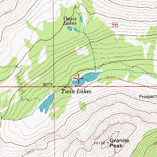 Topographic Map of Twin Lakes, MT
