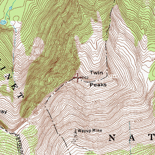 Topographic Map of Twin Peaks, MT
