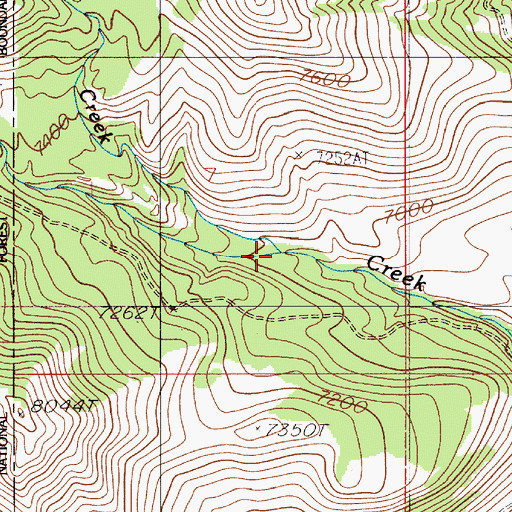 Topographic Map of Twin Peaks Creek, MT