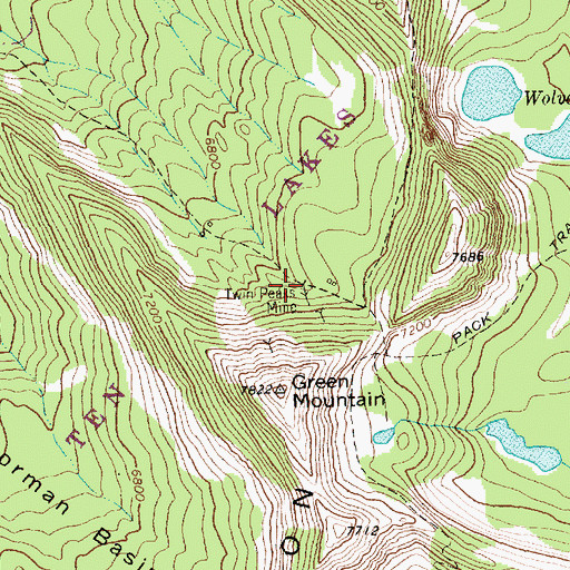 Topographic Map of Twin Peaks Mine, MT
