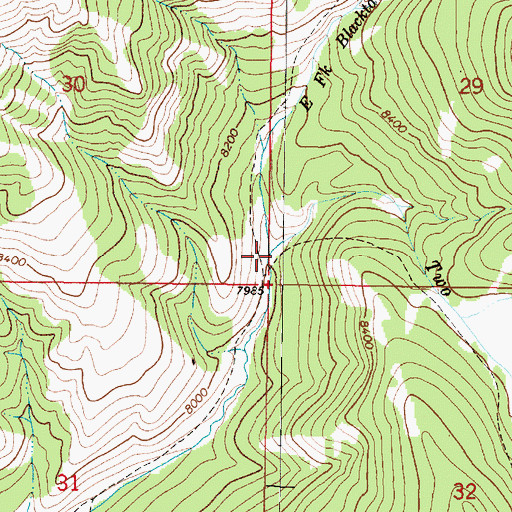 Topographic Map of Two Meadows Creek, MT