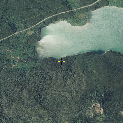 Aerial/Satellite Image of Two Medicine Creek, MT