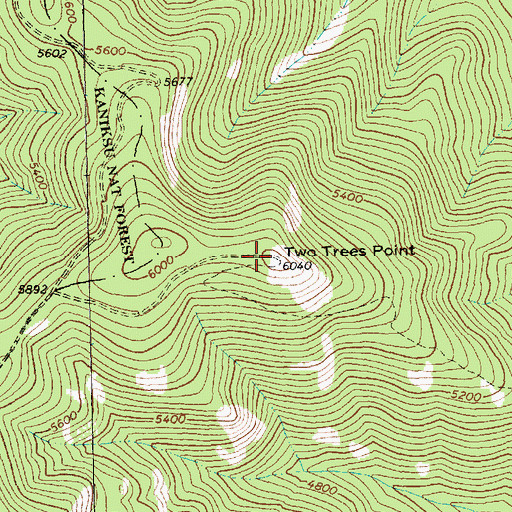 Topographic Map of Two Trees Point, MT