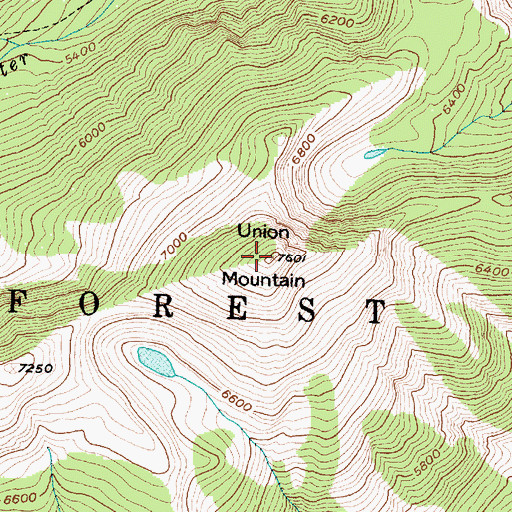 Topographic Map of Union Mountain, MT