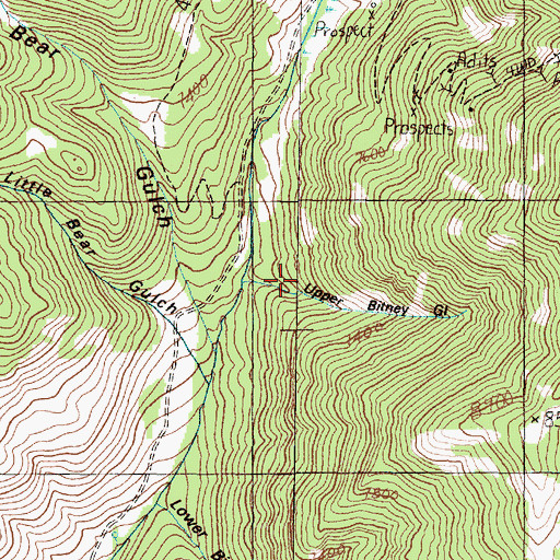 Topographic Map of Upper Bitney Gulch, MT