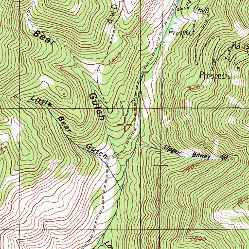 Topographic Map of Upper Bitney Gulch, MT
