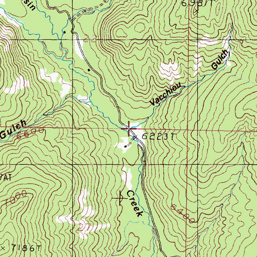 Topographic Map of Vacchiou Gulch, MT