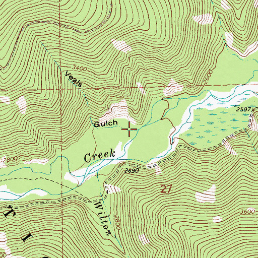 Topographic Map of Veals Gulch, MT