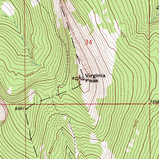 Topographic Map of Virginia Peak, MT