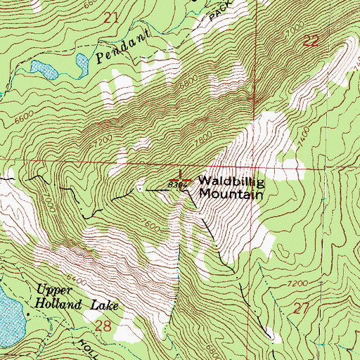 Topographic Map of Waldbillig Mountain, MT