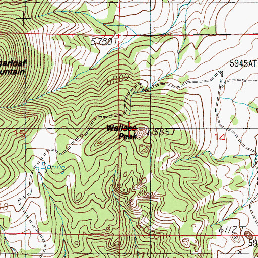 Topographic Map of Wallace Peak, MT