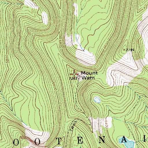 Topographic Map of Mount Wam, MT