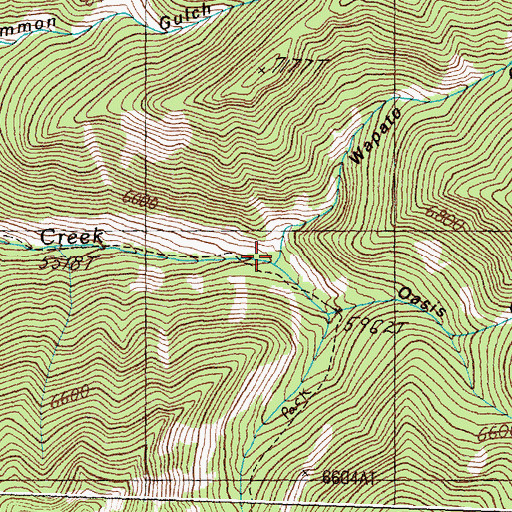 Topographic Map of Wapato Gulch, MT