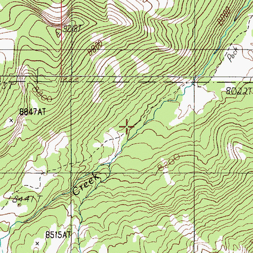 Topographic Map of Wapiti Creek Trail, MT