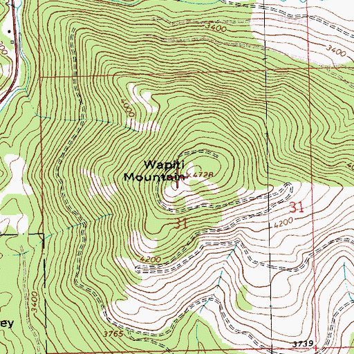 Topographic Map of Wapiti Mountain, MT